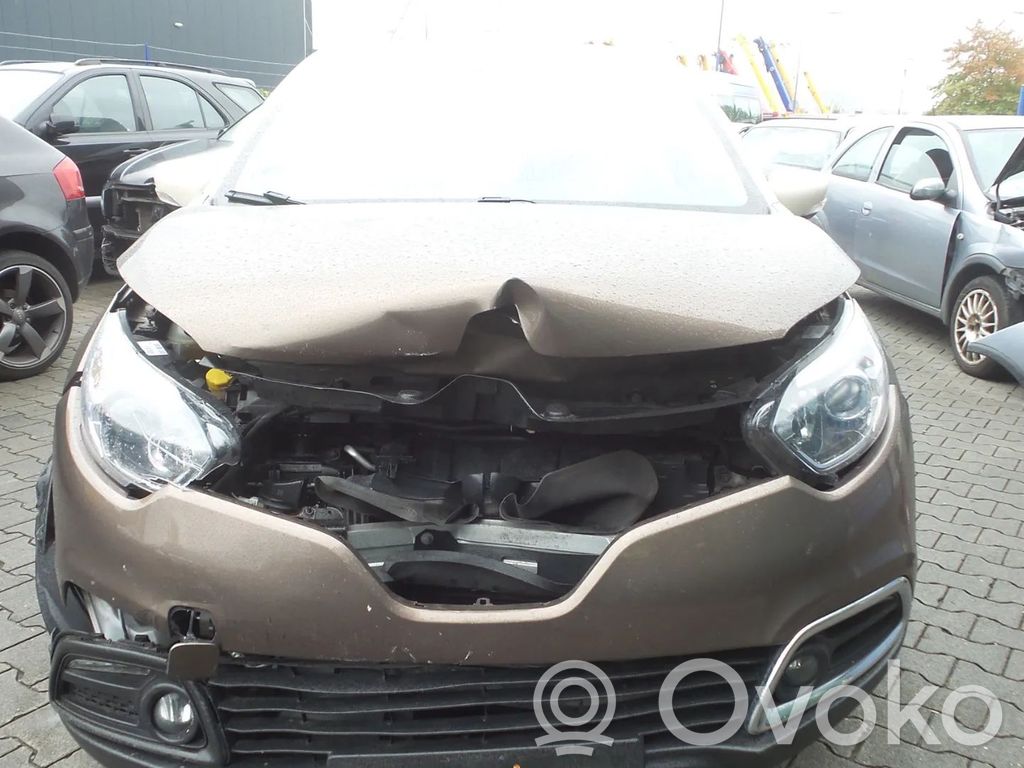 Captur Captur  233000779R