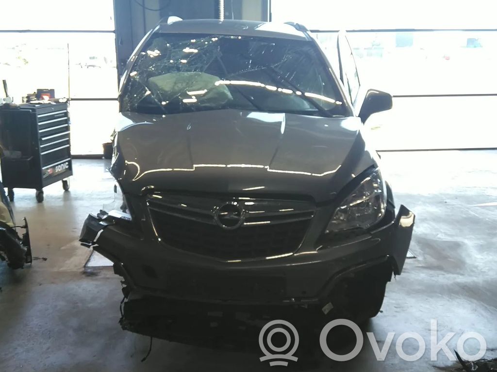 Mokka Mokka  1244470