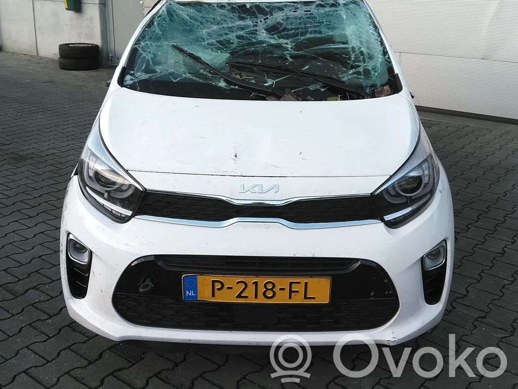 Picanto Picanto  5833