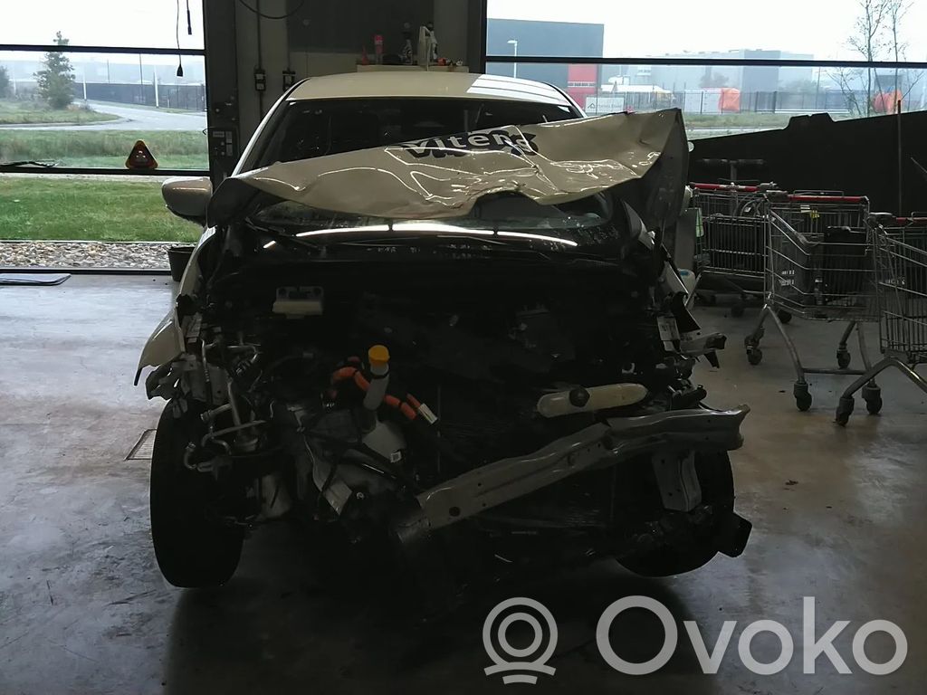 Zoe Zoe  290100071R