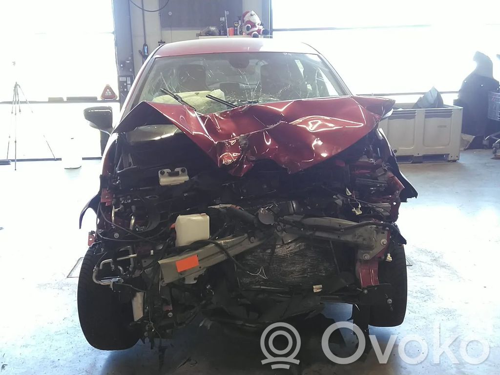 Zoe Zoe  290105943R