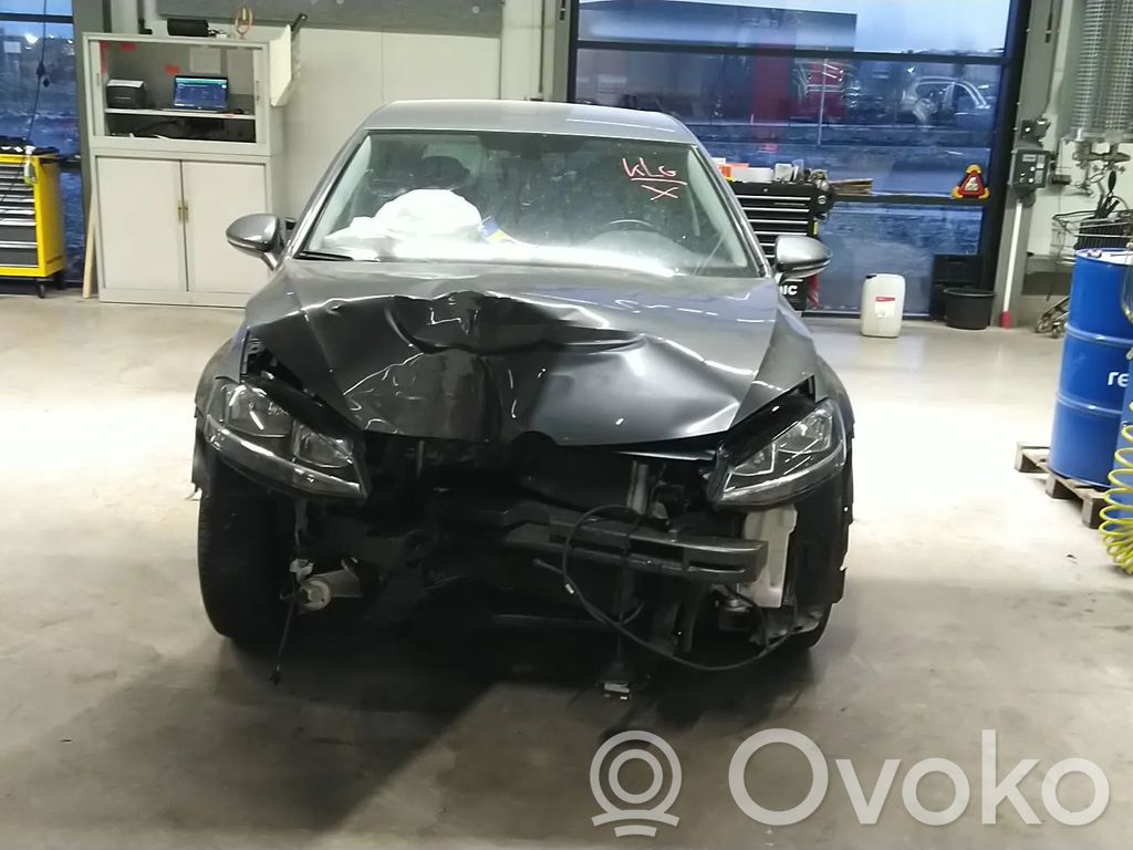 Golf VII Golf  04E907309BH