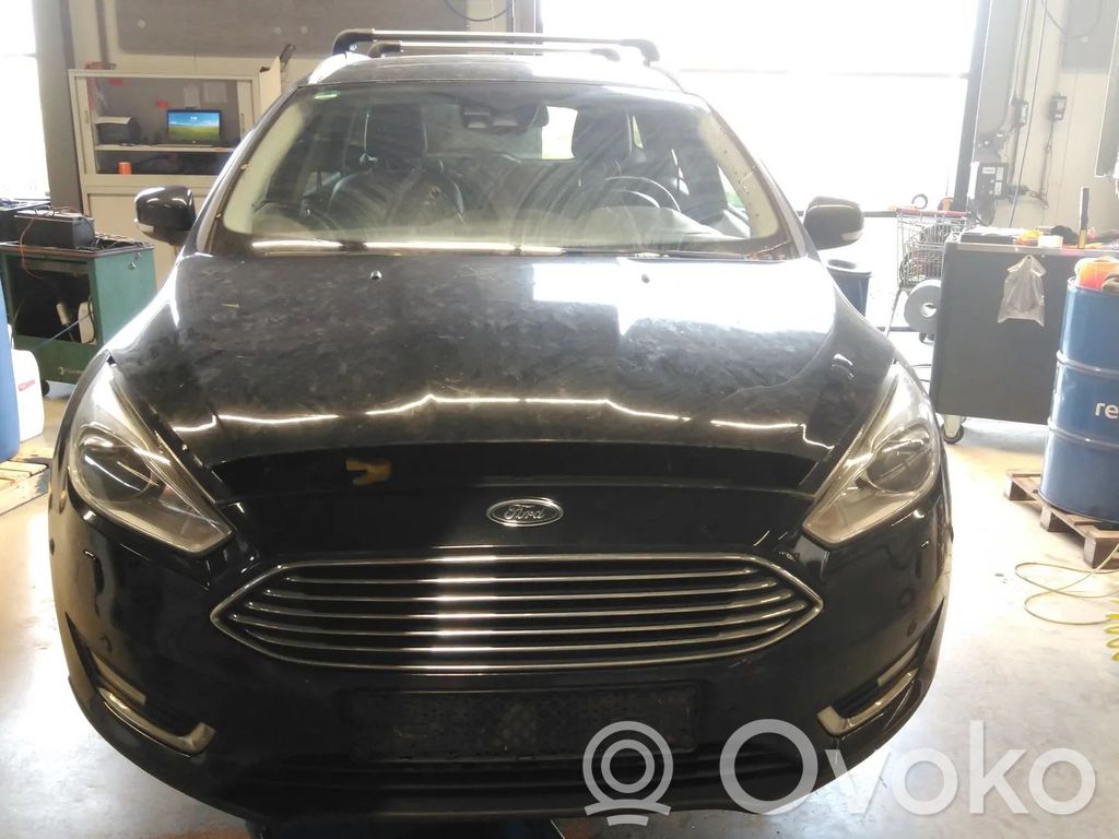 Focus Focus  1835850