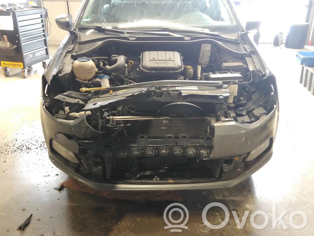 Polo V 6R Polo  0258030131