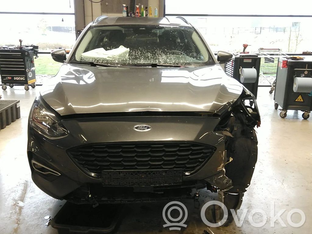Focus Focus  2577504
