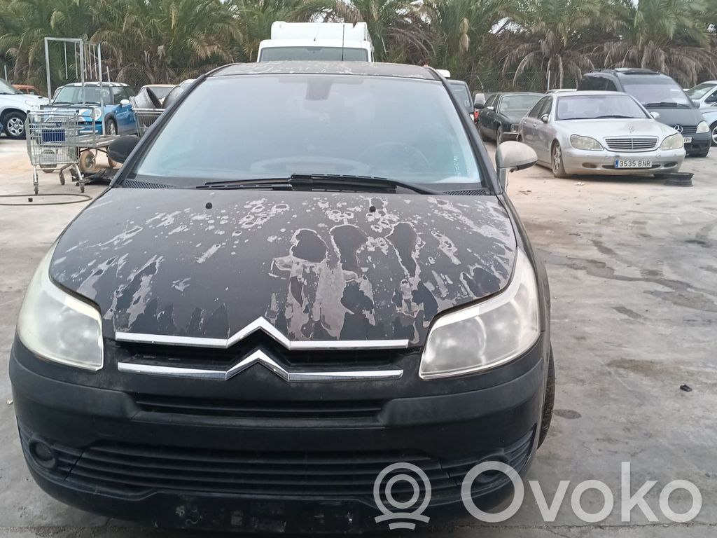 C4 I C4 Picasso, Grand Picasso, Aircross, Cactus  0445110297