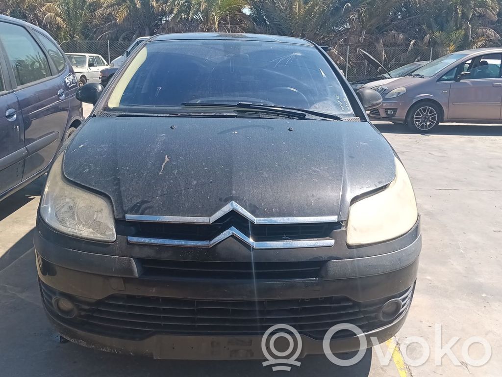 C4 I C4 Picasso, Grand Picasso, Aircross, Cactus  NOSEVEREF