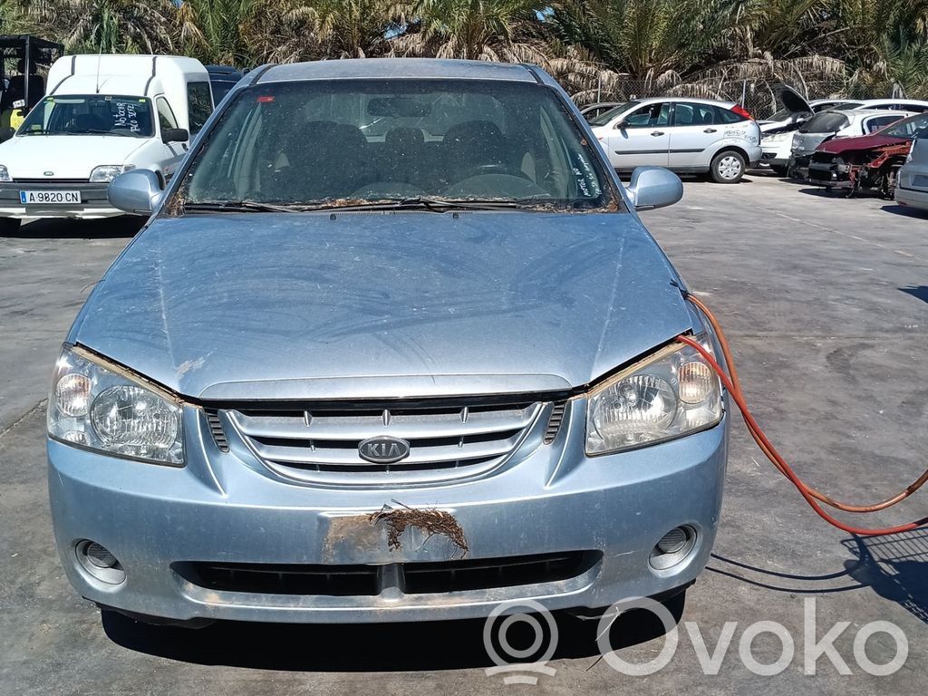 Cerato Cerato  338002A110