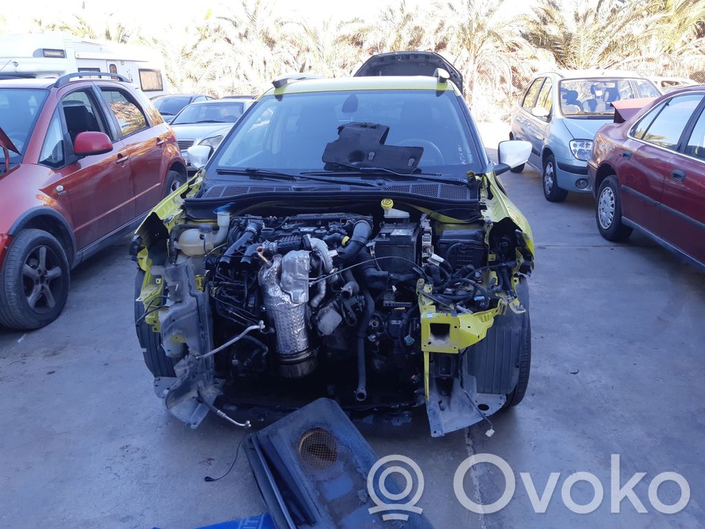 C4 Cactus C4 Picasso, Grand Picasso, Aircross, Cactus  9809287280