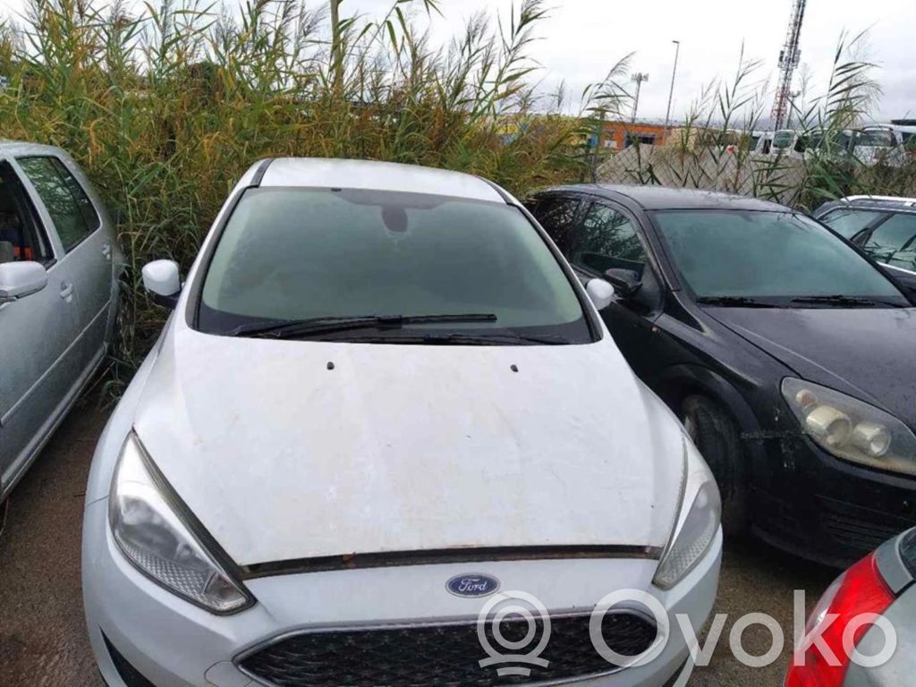 Focus Focus  10103854