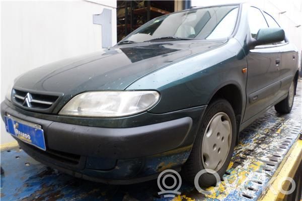 Xsara Xsara, Xsara Picasso