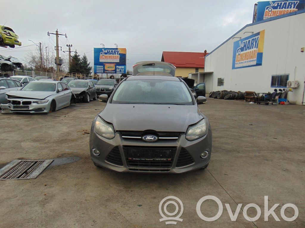 Focus Focus  2121135