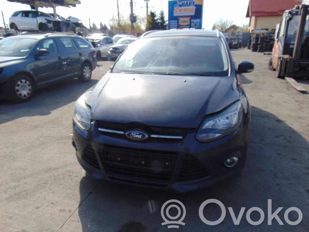 Focus Focus  1784498
