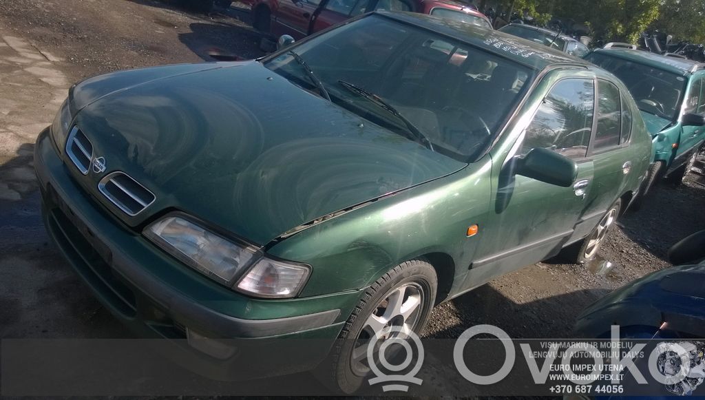 Primera Primera  284502F907