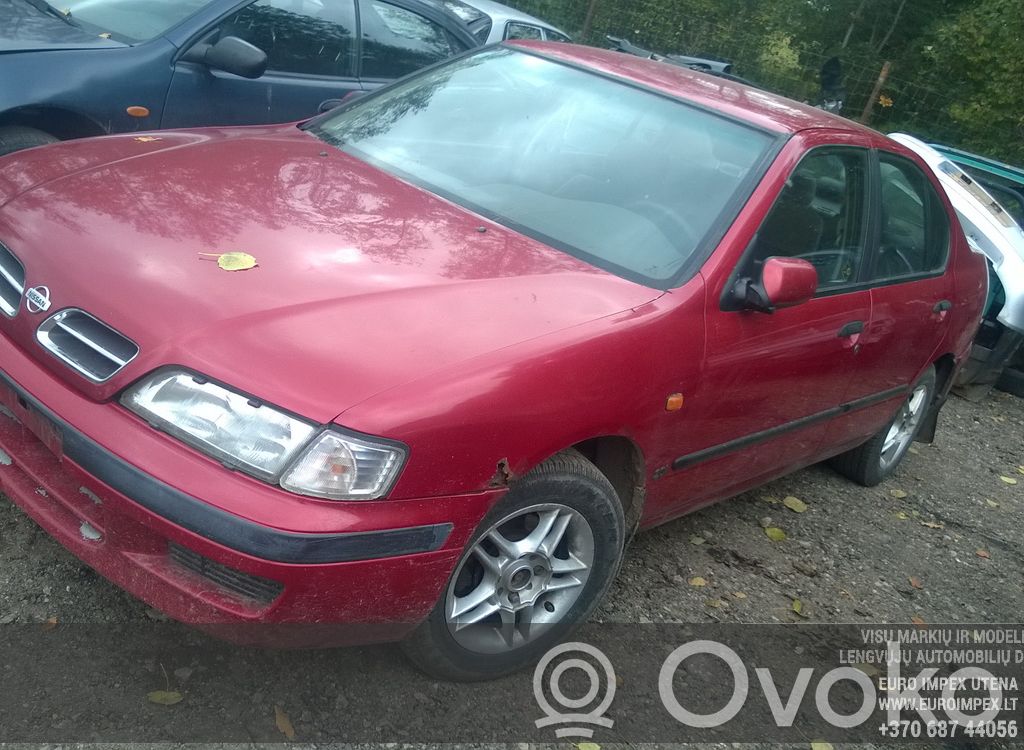 Primera Primera  233002F200