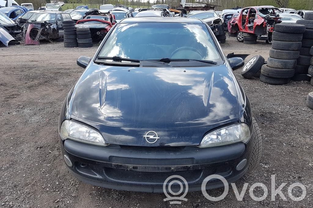Tigra A Tigra  90448177BM