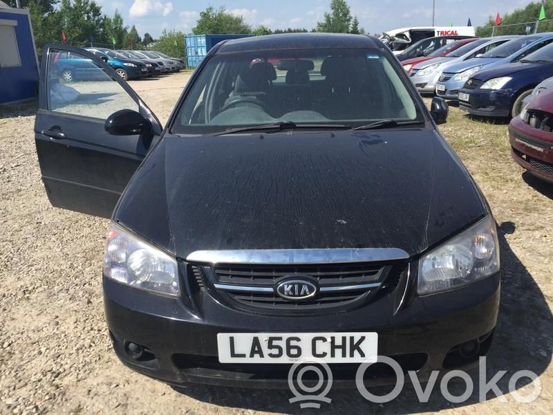 Cerato Cerato