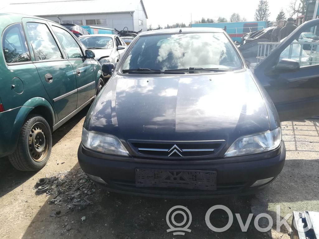 Xsara Xsara, Xsara Picasso