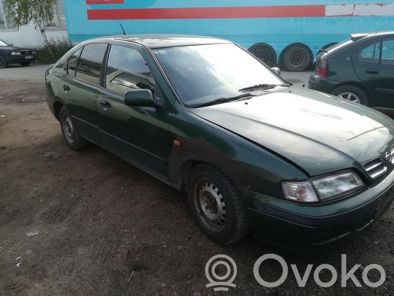 Primera Primera  407913111
