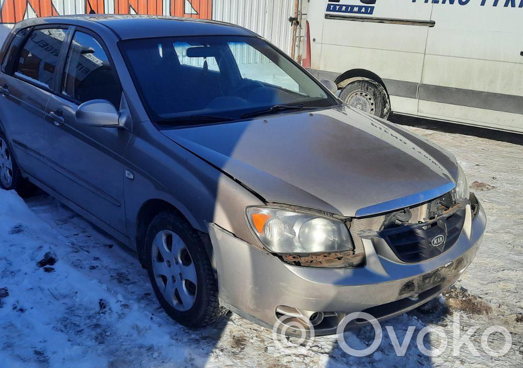 Cerato Cerato  569002F010