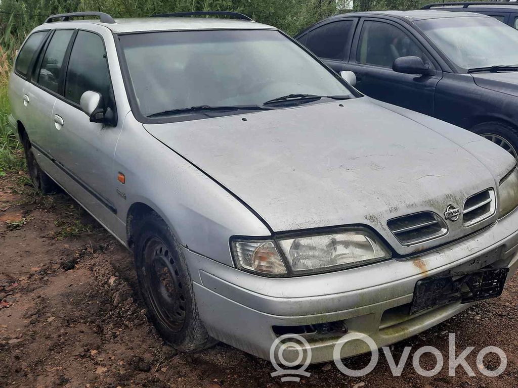 Primera Primera  321052