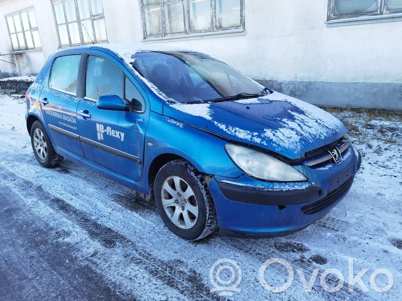 307 307  NEPLAUKIOJANTIS