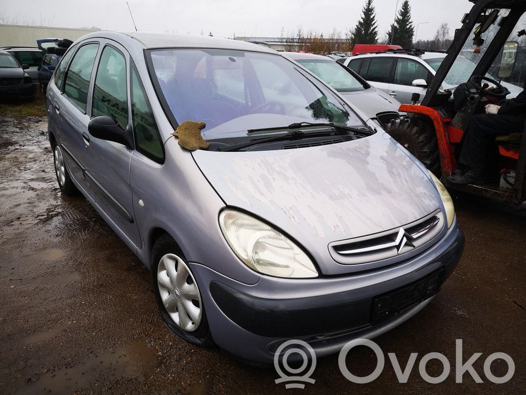 Xsara Picasso Xsara, Xsara Picasso  VIOLETINES