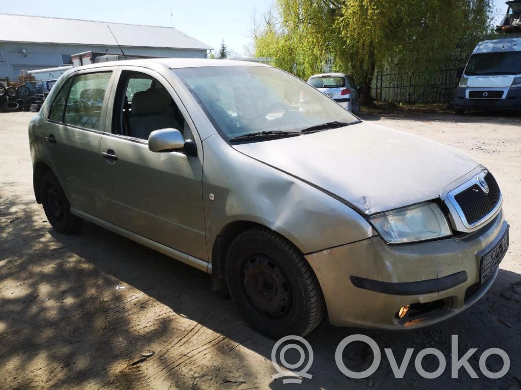Fabia Mk1 (6Y) Fabia  RUDAS