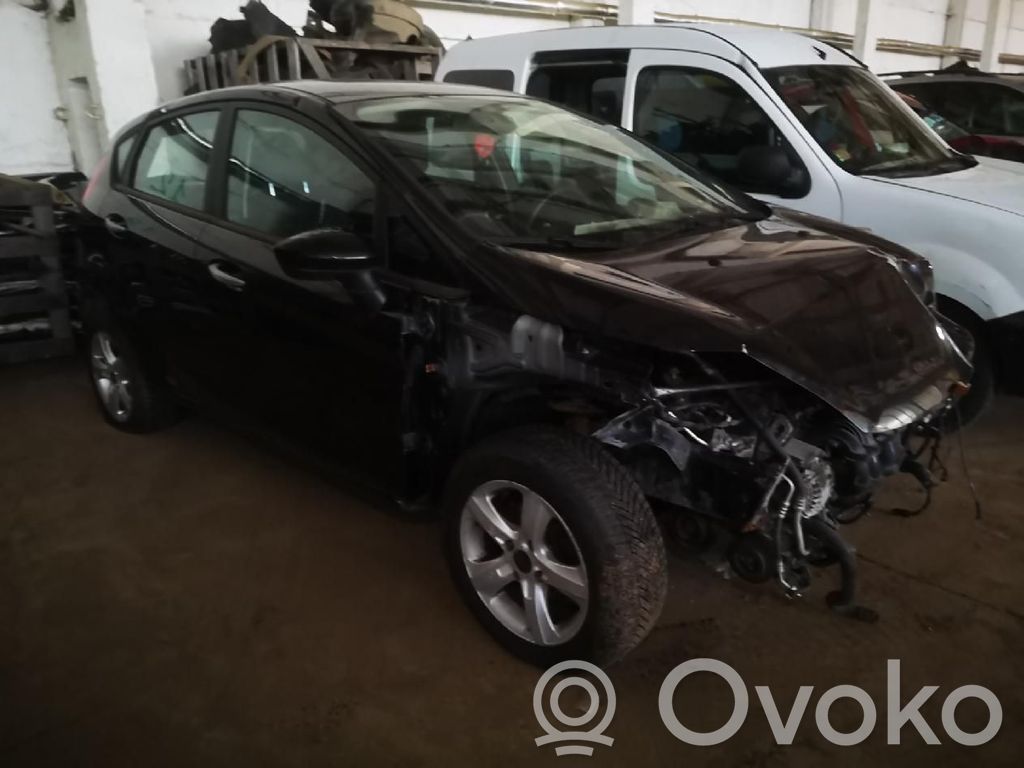 Fiesta Fiesta  AE833600
