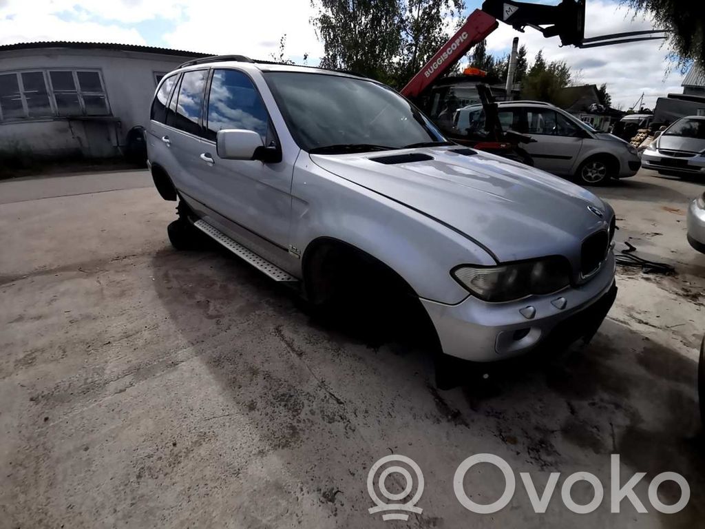 X5 E53 X5  61318368920