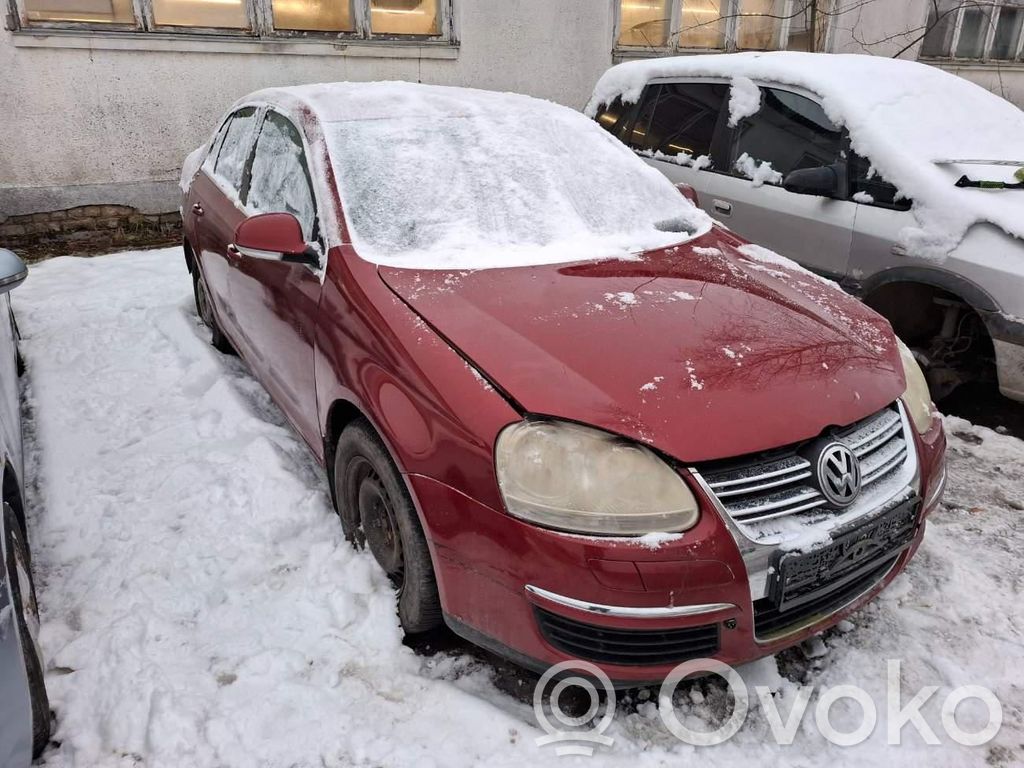 Jetta V Jetta  0258006593