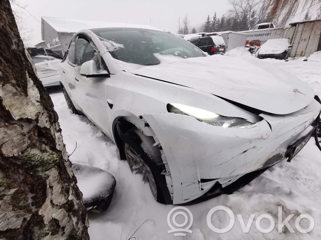 Model Y Tesla Model Y  174286400A