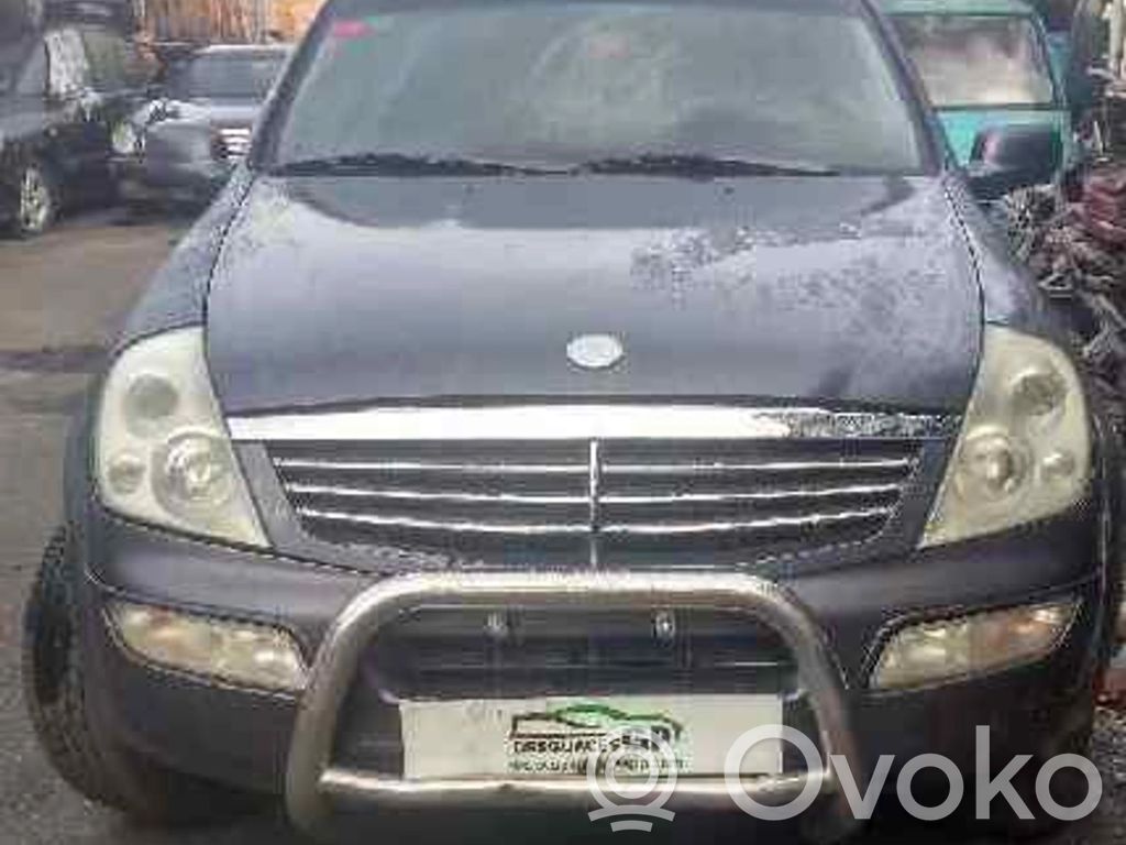 Rexton Rexton