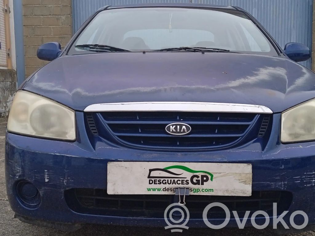 Cerato Cerato
