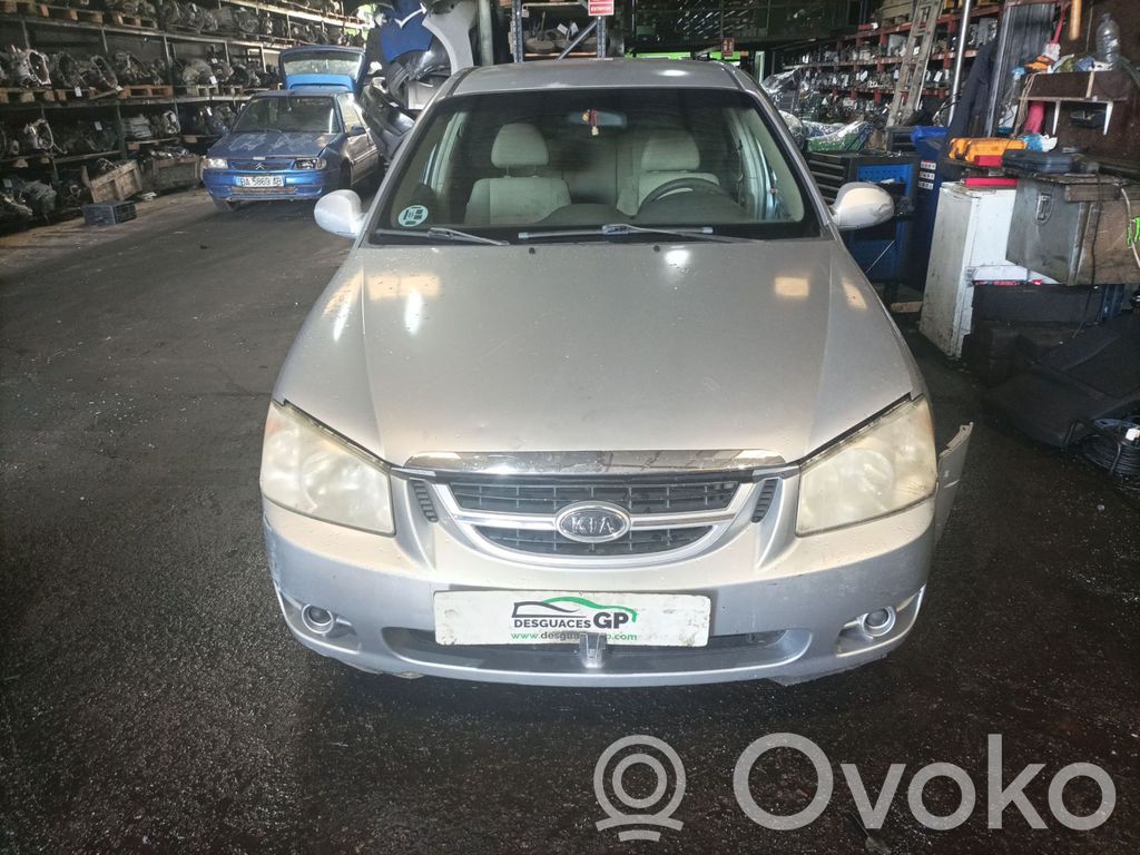 Cerato Cerato  282012A110