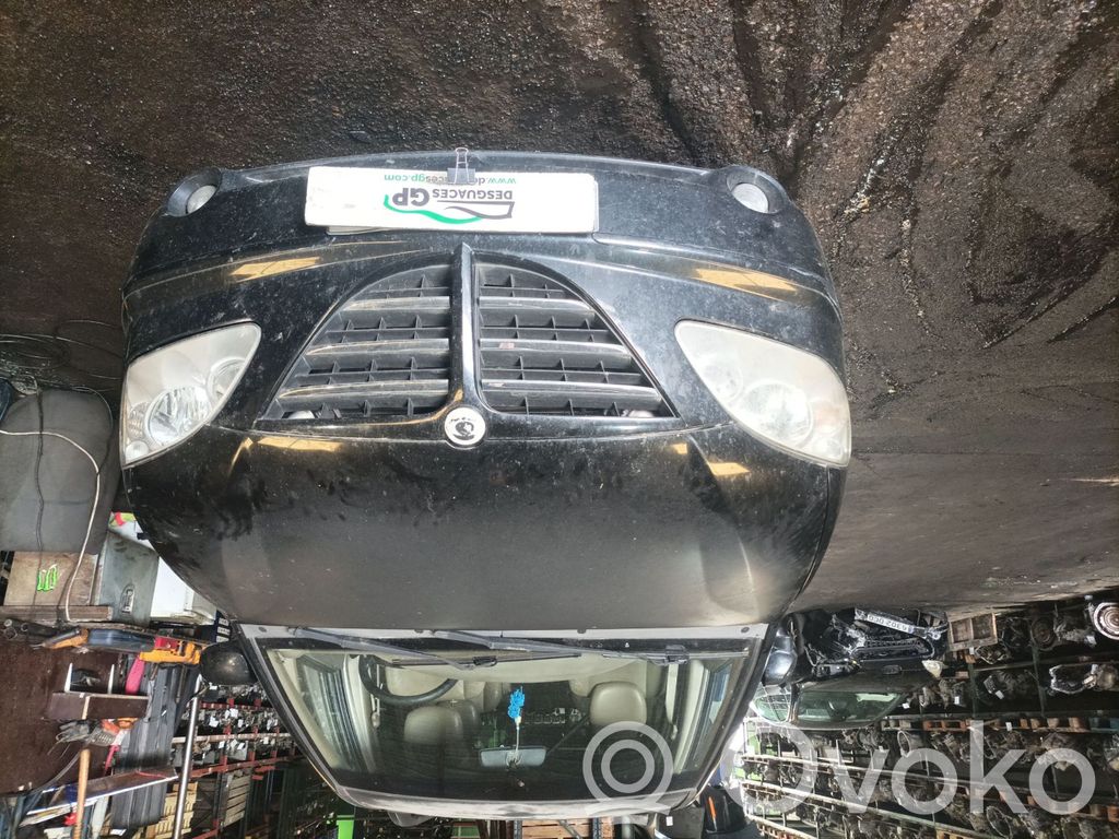 Rodius Rodius/Stavic  4896011100
