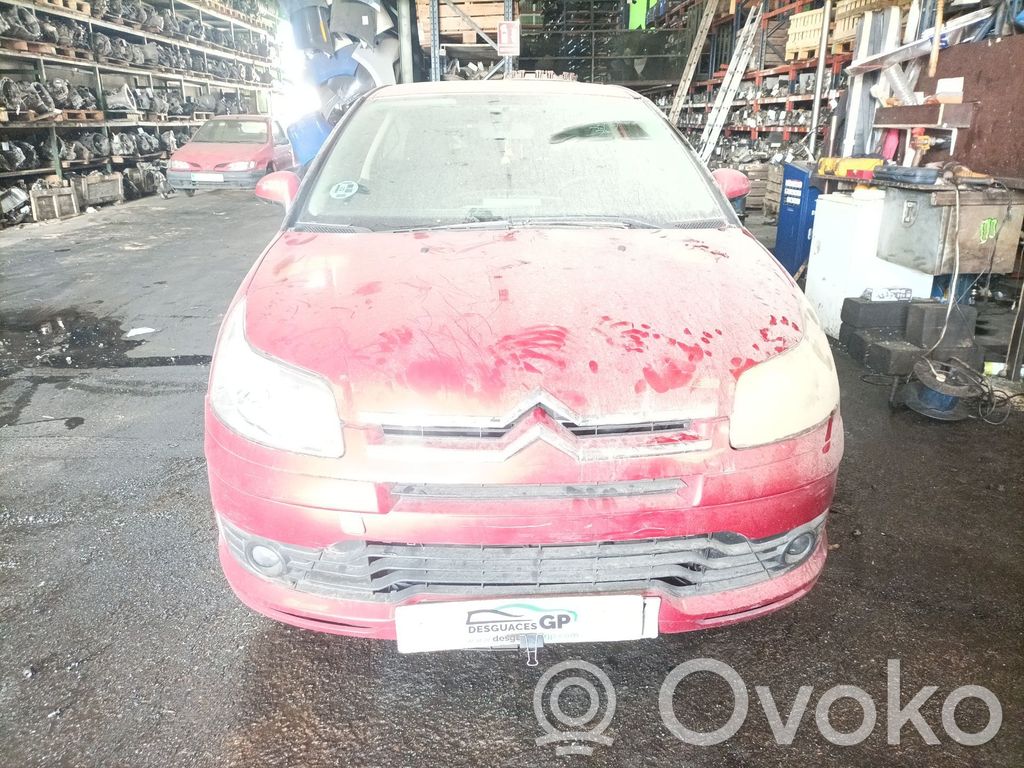 C4 I Picasso C4 Picasso, Grand Picasso, Aircross, Cactus  9813973280