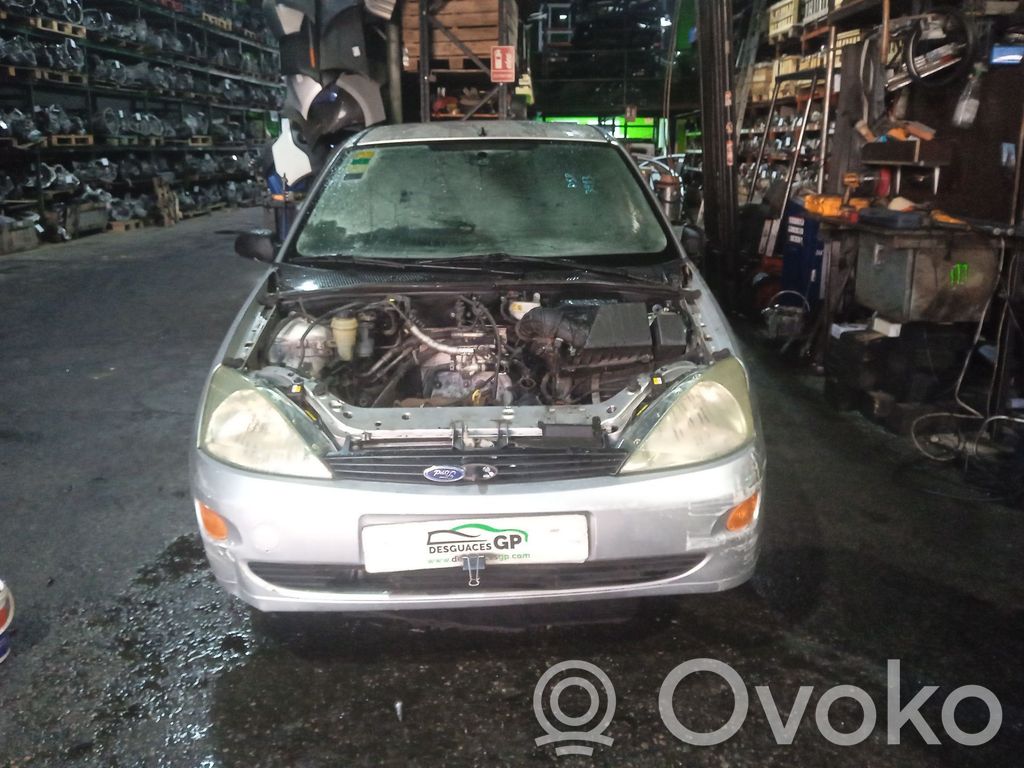 Focus Focus  1126245