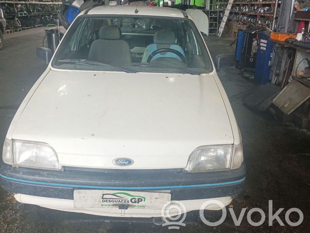 Fiesta Fiesta  91FF9D475