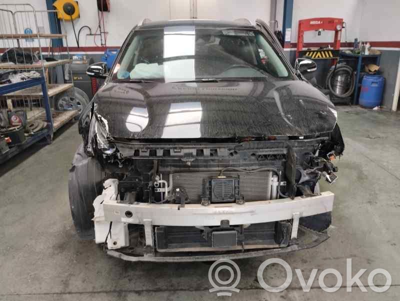 Niro Niro  82613G5000