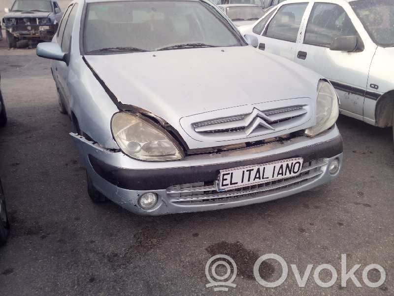 Xsara Xsara, Xsara Picasso