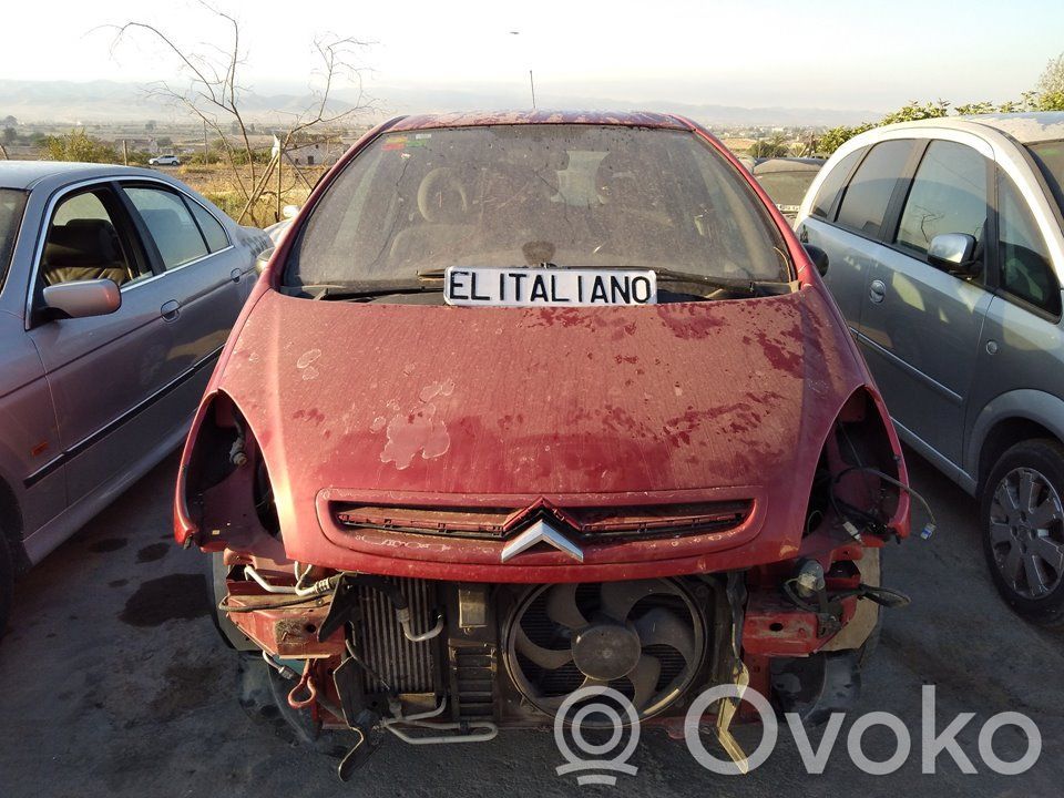 Xsara Xsara, Xsara Picasso