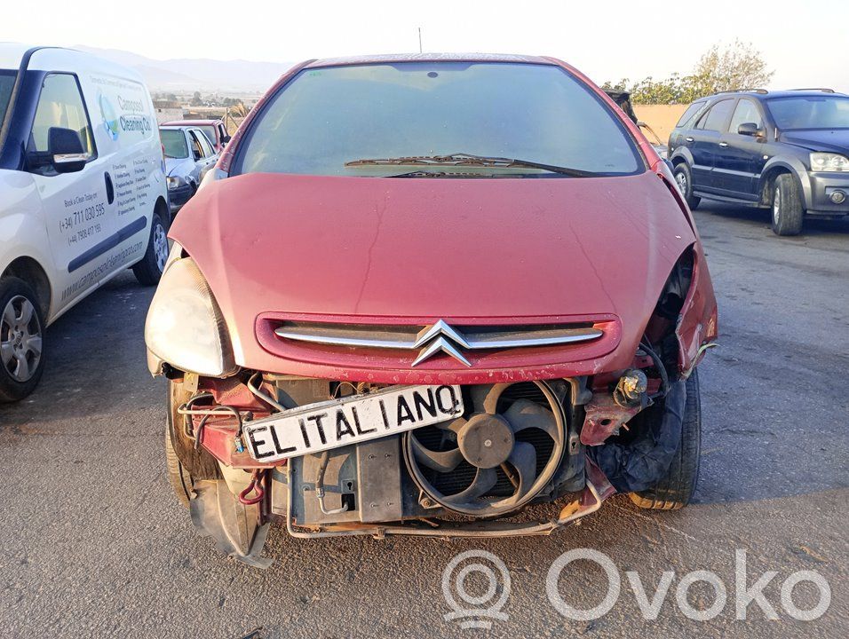 Xsara Xsara, Xsara Picasso