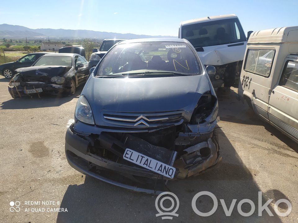 Xsara Xsara, Xsara Picasso