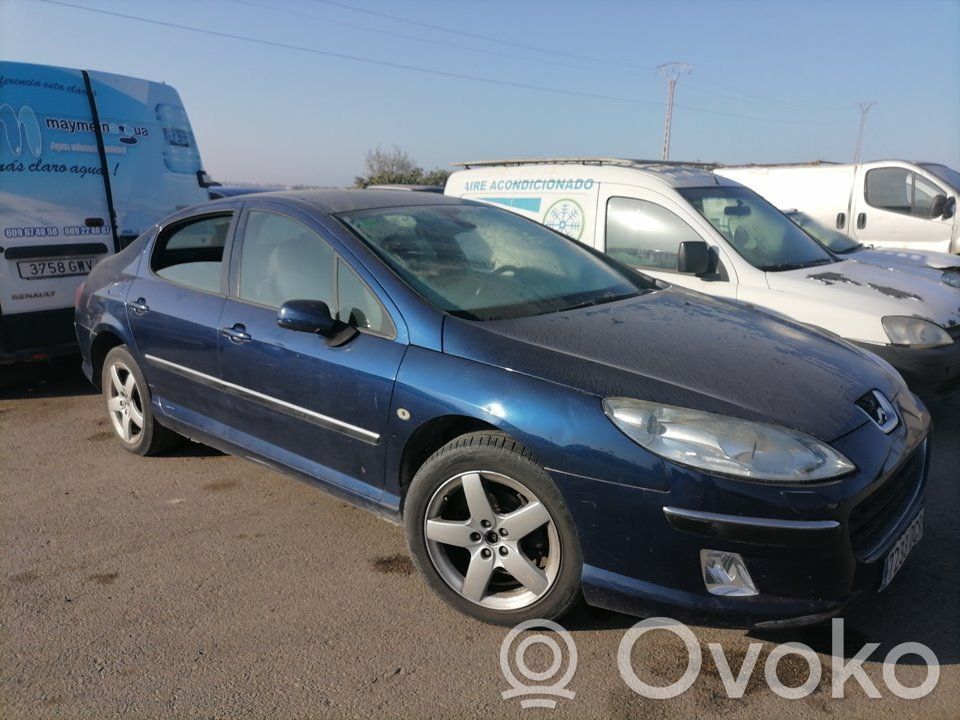 407 407  5WS40167GT