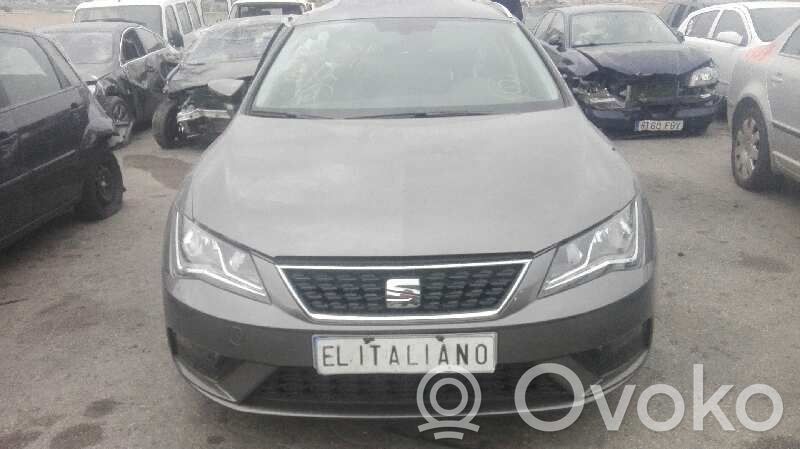 Leon (5F) Leon