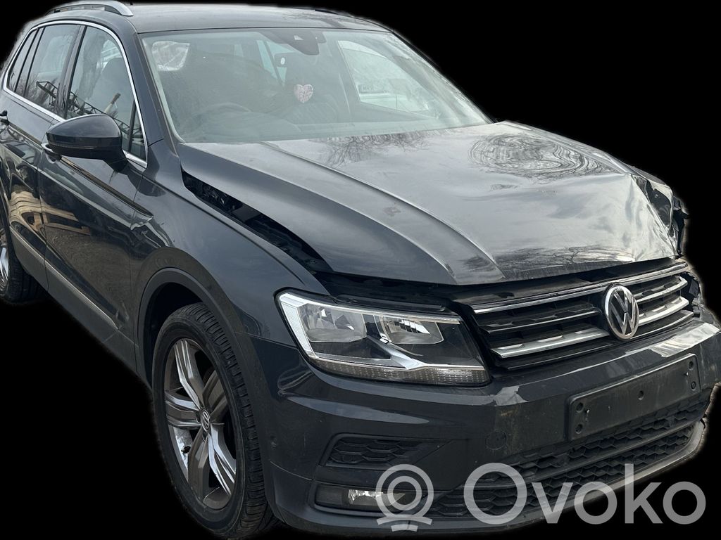 Tiguan Tiguan  5NC959839A