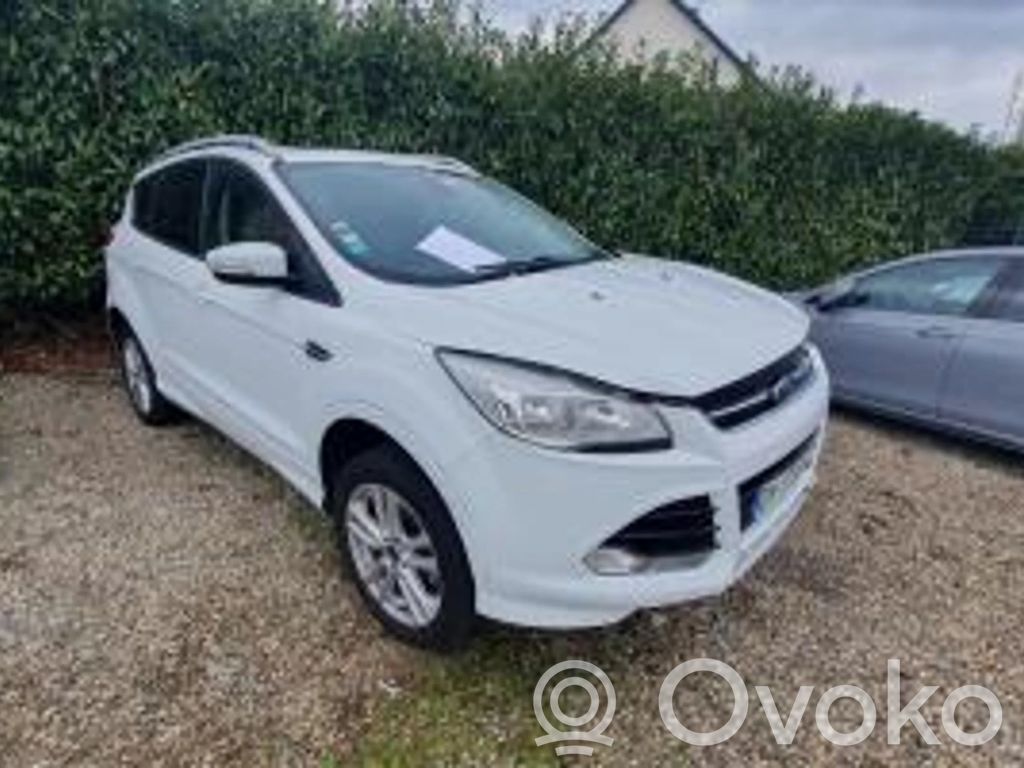 Kuga II Kuga  2039551