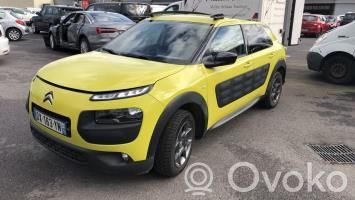 C4 Cactus C4 Picasso, Grand Picasso, Aircross, Cactus  1617295980