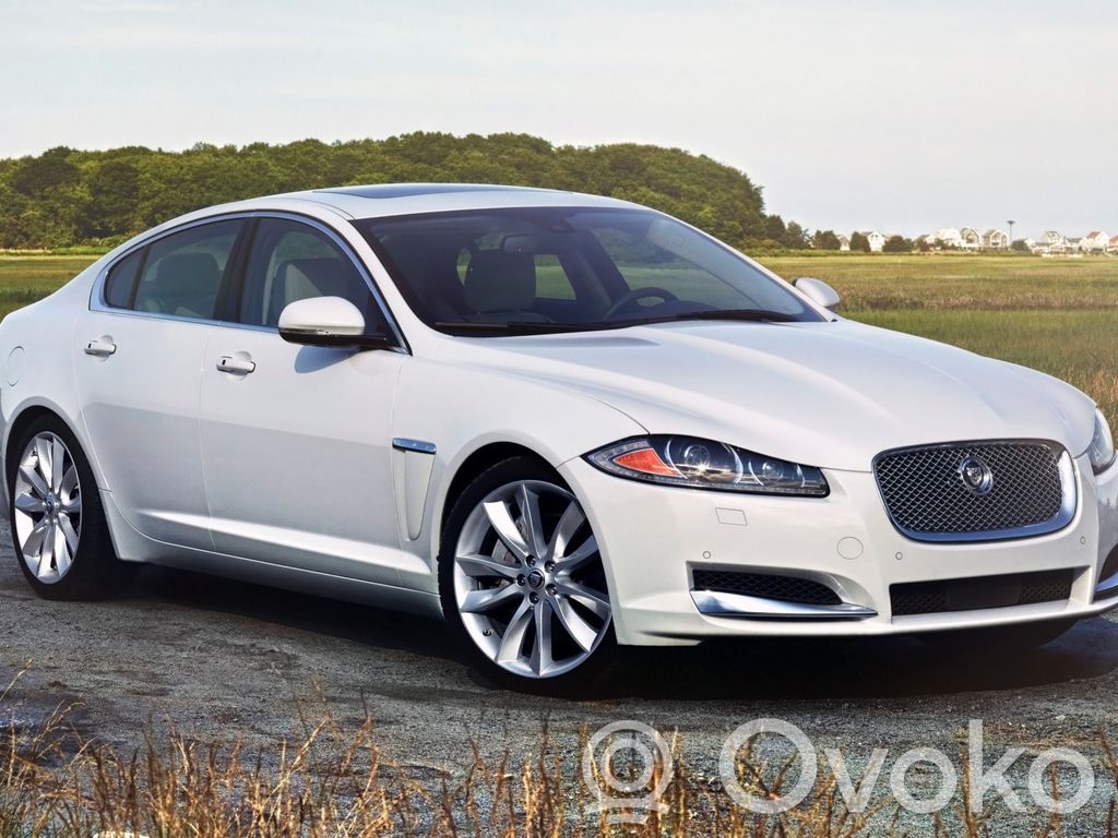 XF XF